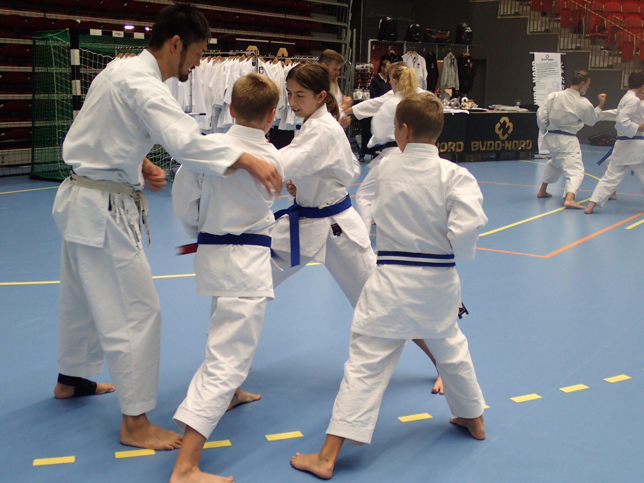 Zendokai Karate International Camp 2022 ENG Martial Art News