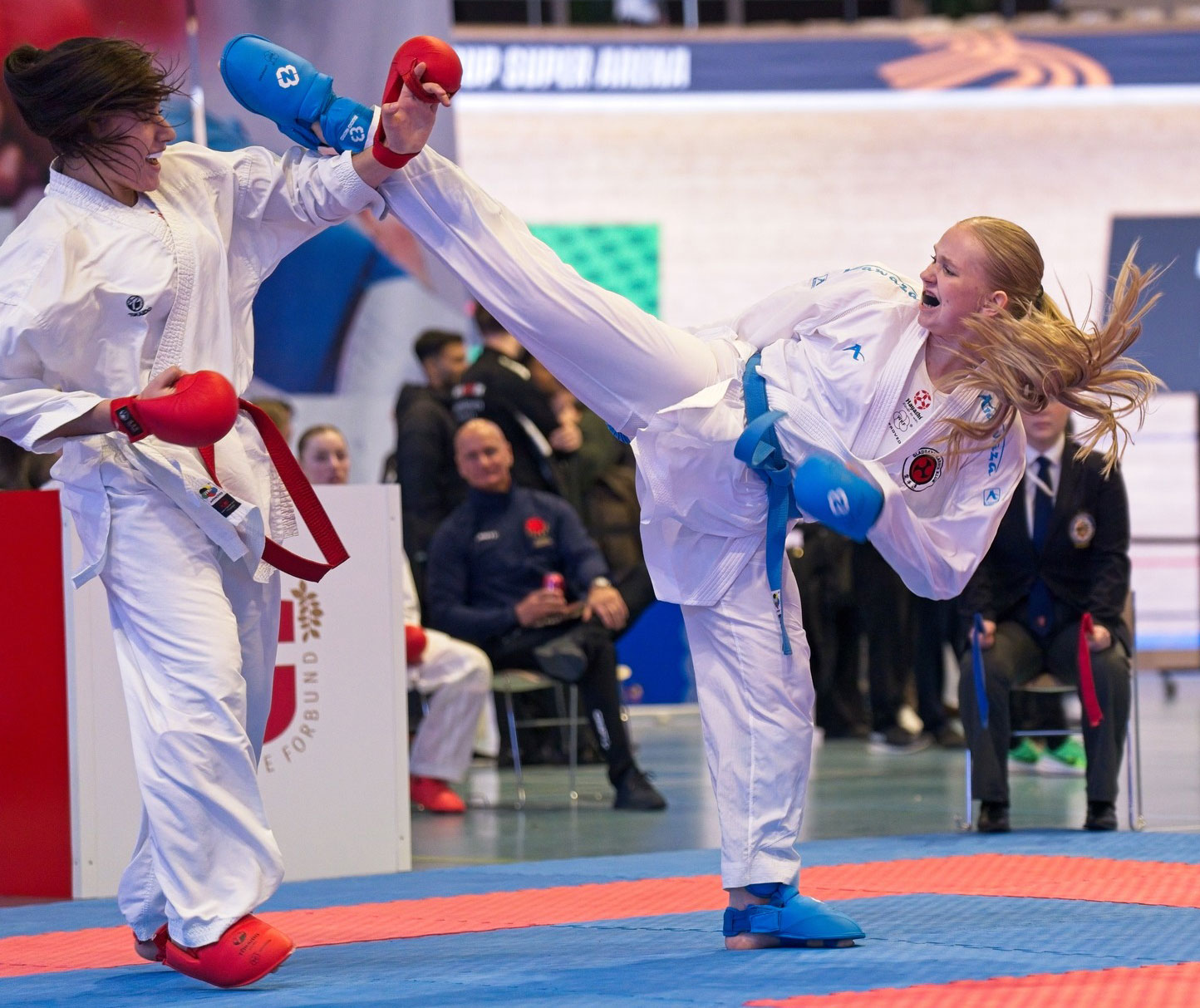 Danmarks Mesterskaber i Karate 2025.