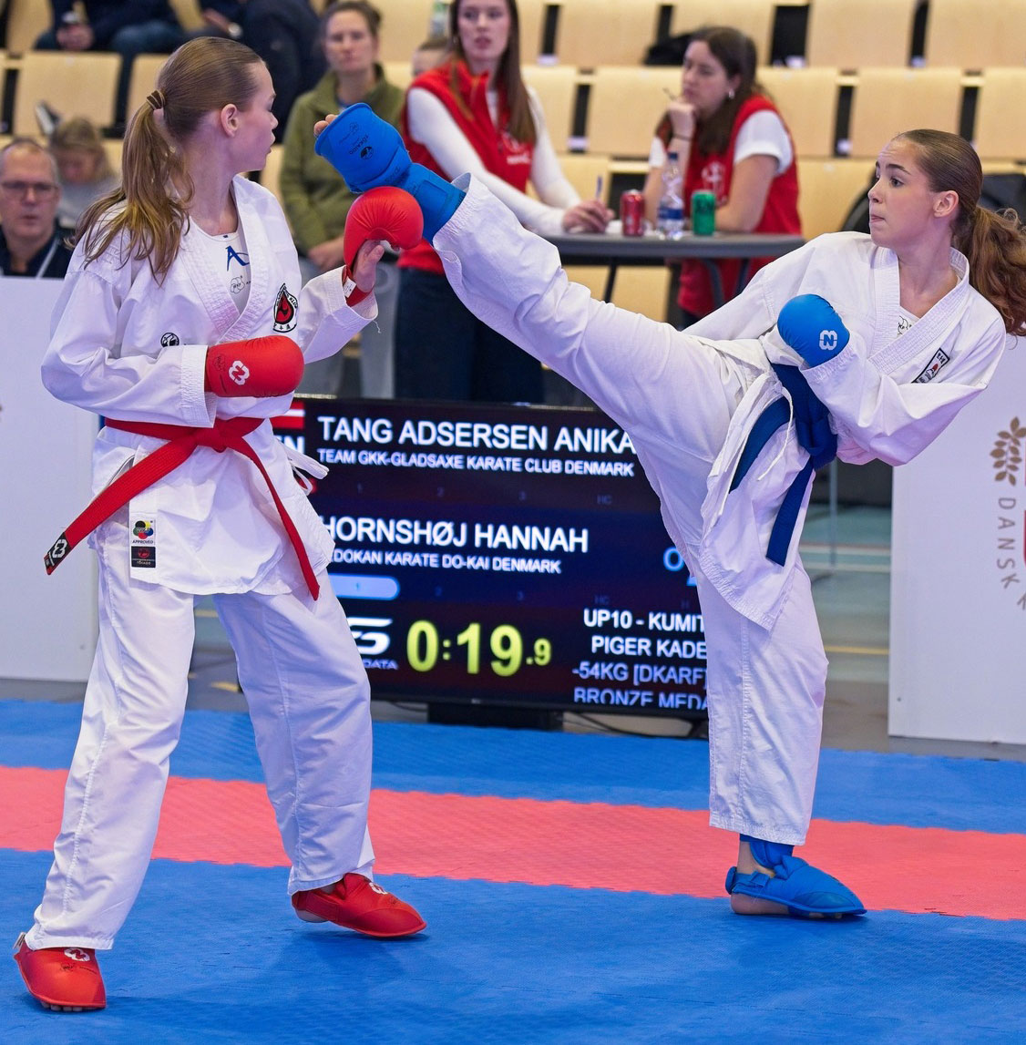 Danmarks Mesterskaber i Karate 2025.