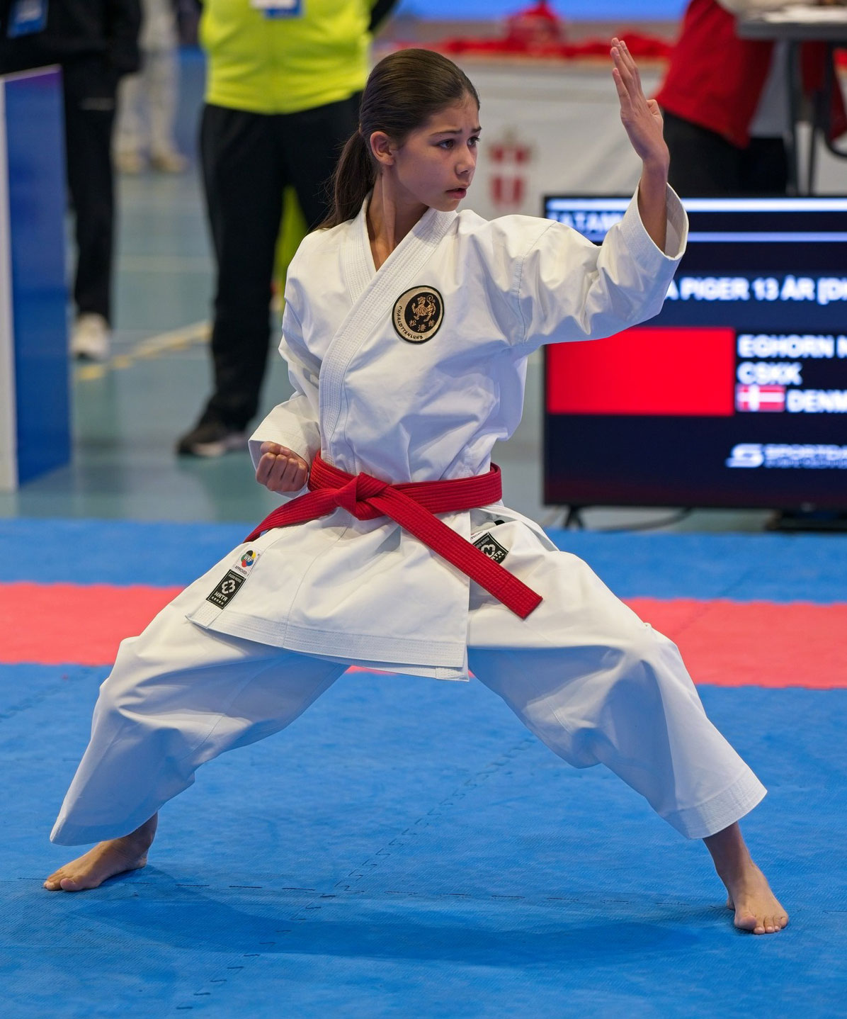 Danmarks Mesterskaber i Karate 2025.