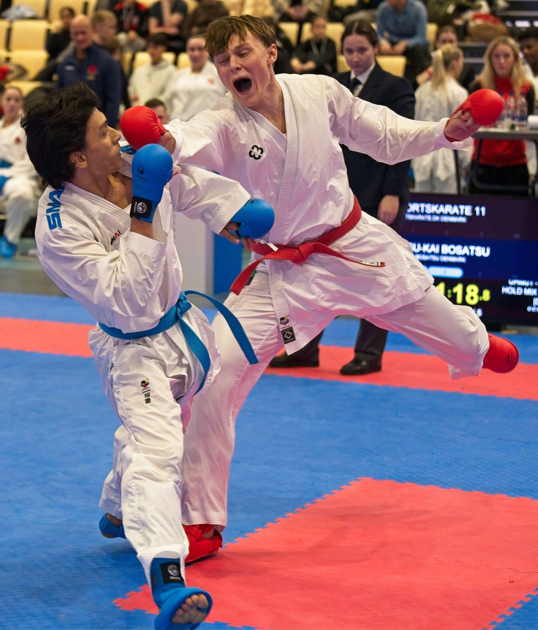 Danmarks Mesterskaber i Karate 2025.