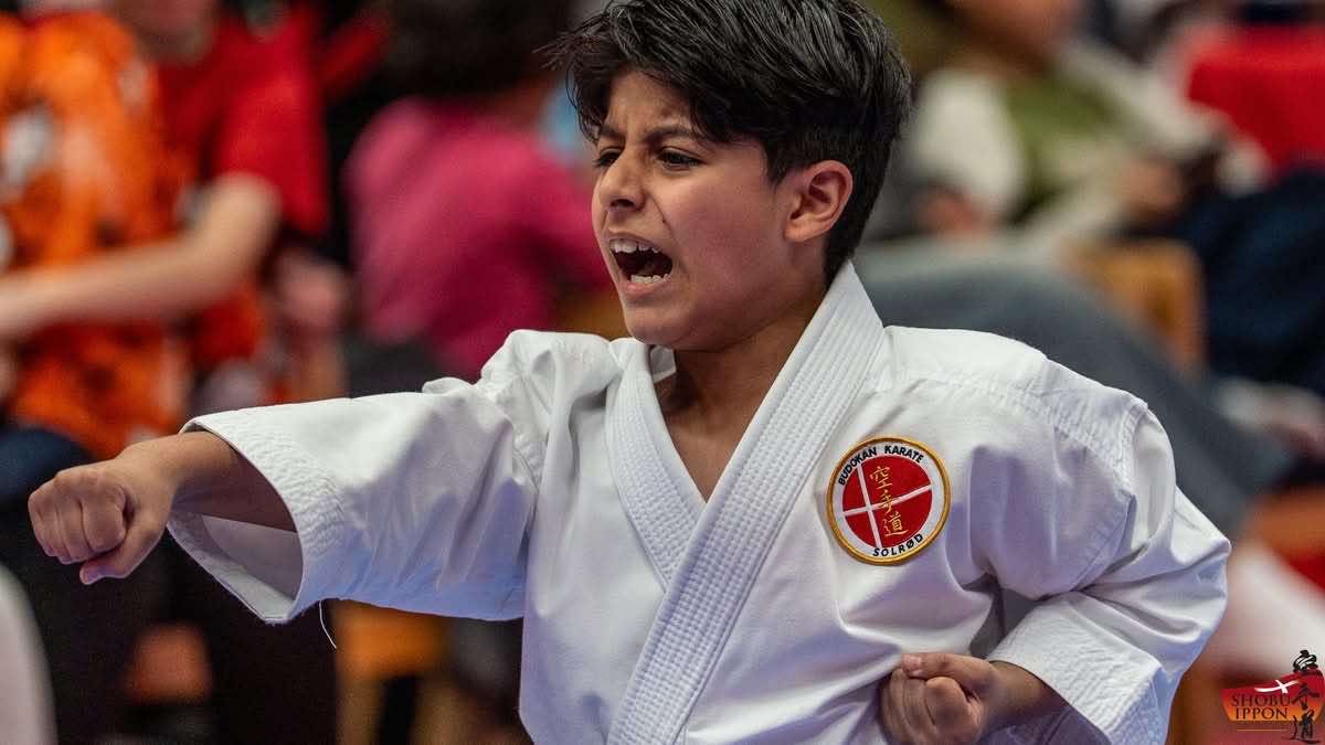 Foto: Shobu Ippon Karate Danmark 2025 – Øresund Kyu Cup.