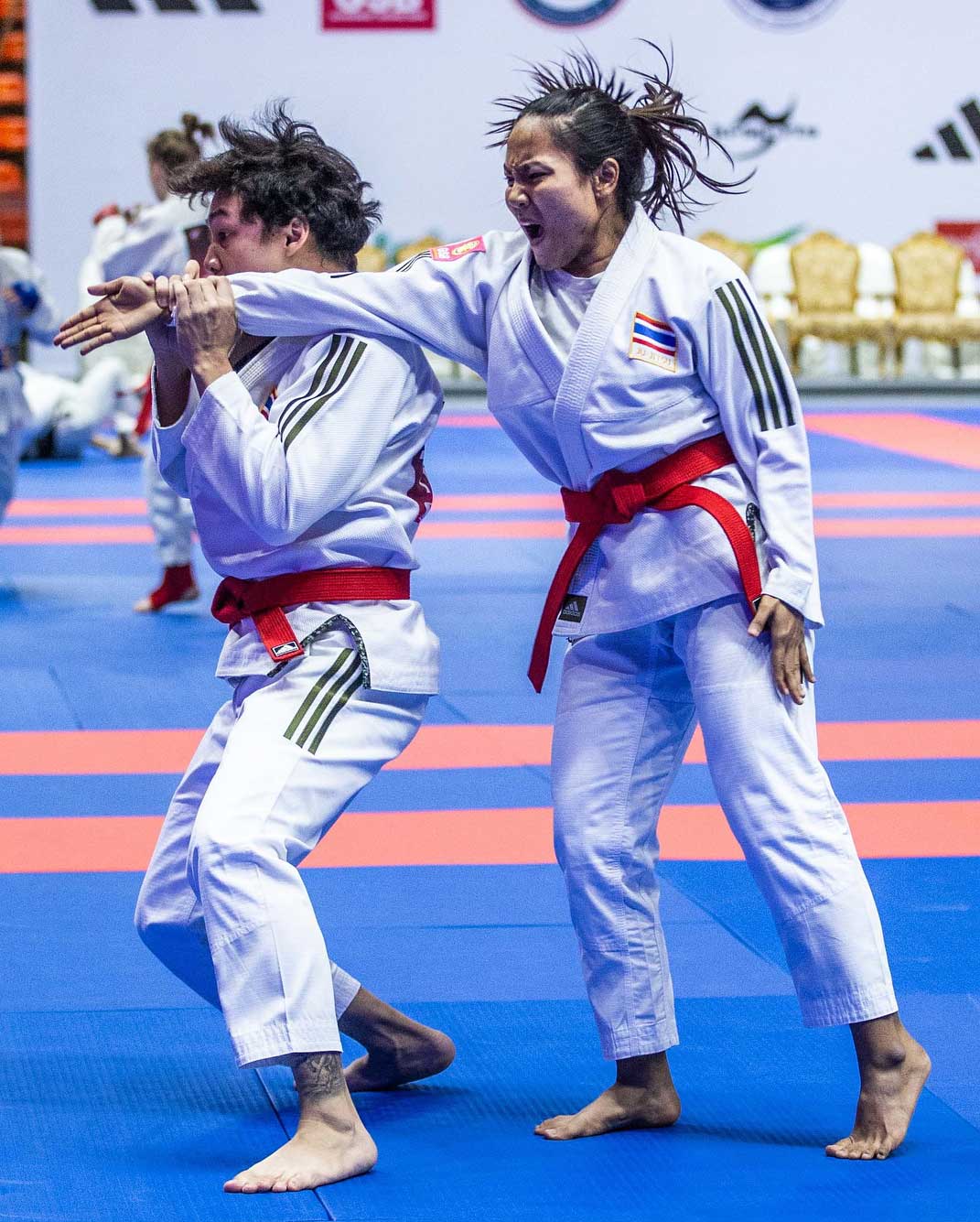 Ju-Jitsu World Championships Masters 2025.