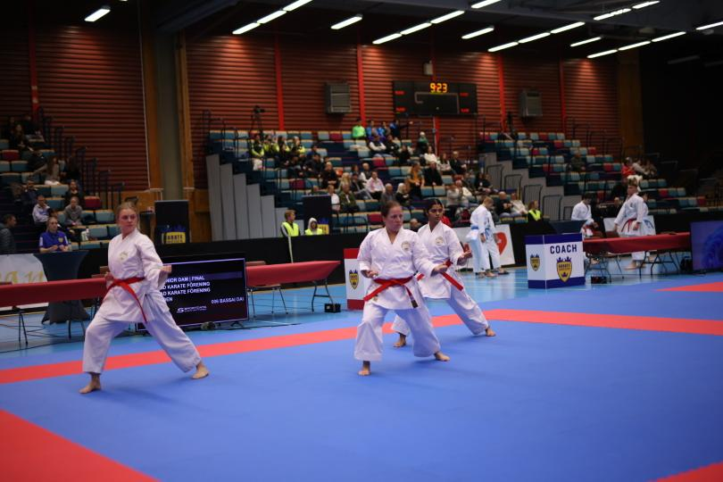Svenska Mästerskapen i Karate 2025.