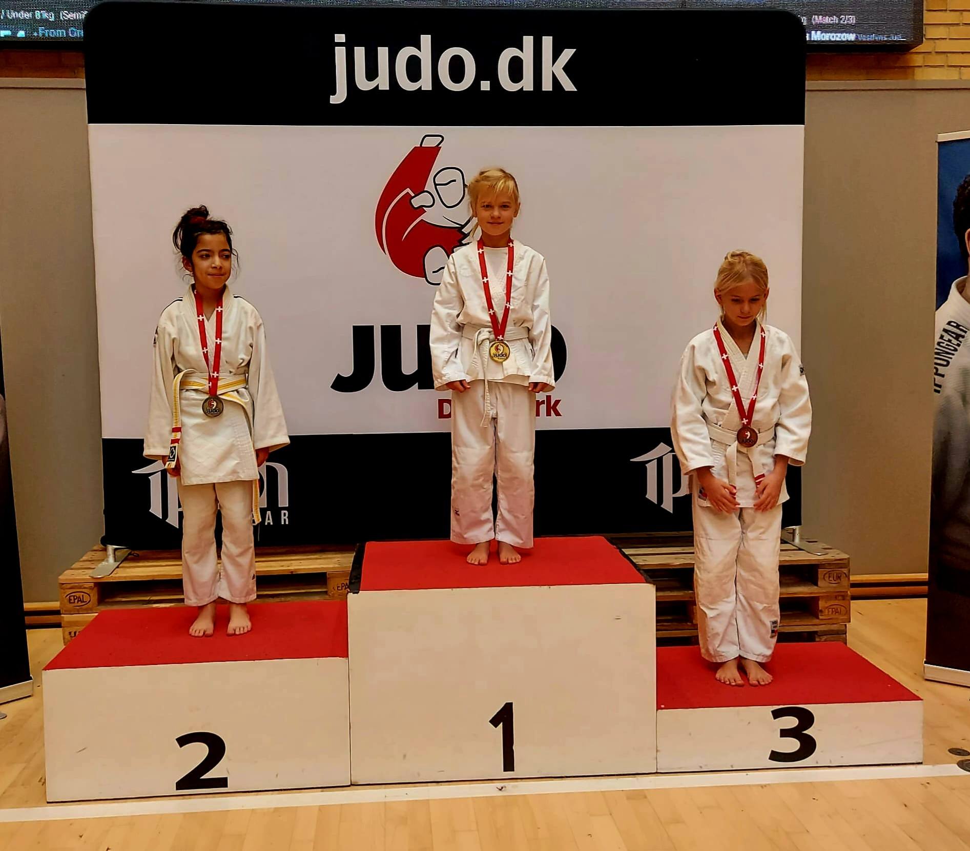 Danske Mesterskaber i Judo 2025