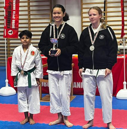 Shobu Ippon Karate Danmark 2025 – Øresund Kyu Cup.